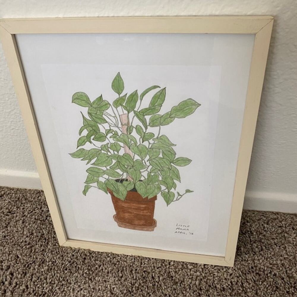 Original Art Philodendron "Little Mama" April‎ 2016 Pencil Drawing Framed - Picture 3 of 10